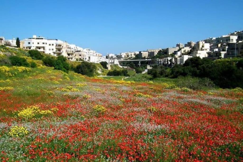 Modern 1br With Private Balcony In St Julians By 360 Estates *